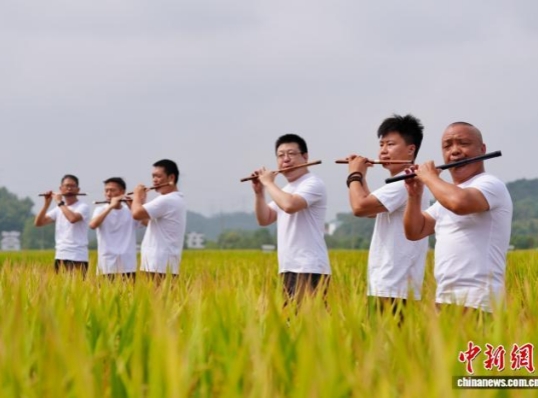 Harvest1.jpg