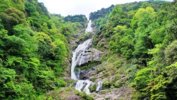 云上大院_副本.jpg