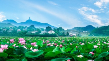 仙庾岭_副本.jpg