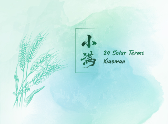 24 Solar Terms -- Xiaoman