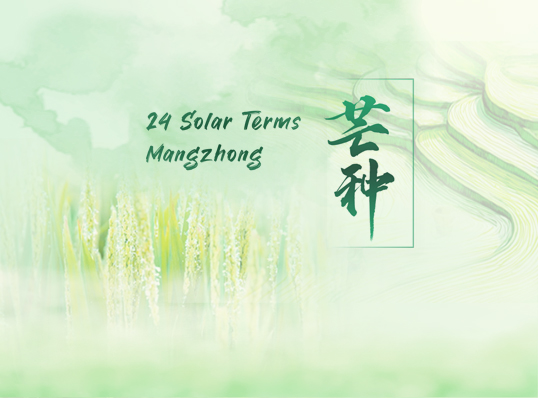 芒种3.jpg
