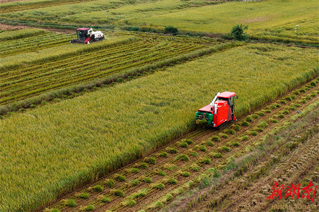 Hunan Farm Hunan Government Website International-enghunan.gov.cn Yueyang Enters ...