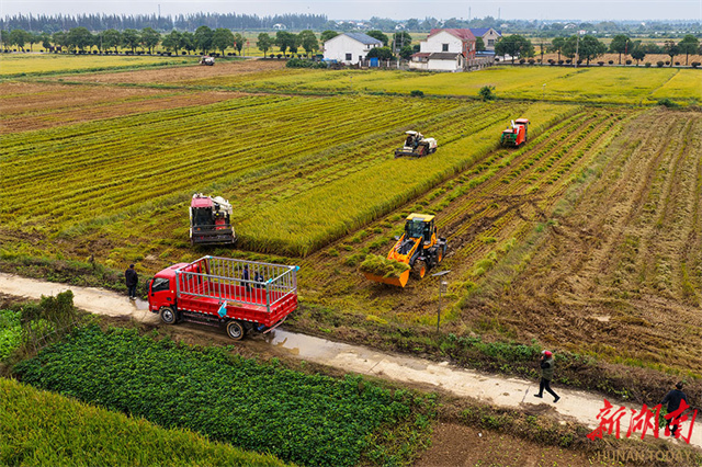 Hunan Farm Hunan Government Website International-enghunan.gov.cn Yueyang Enters ...